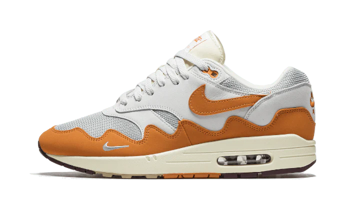 Nike patta air max 1 2020 online