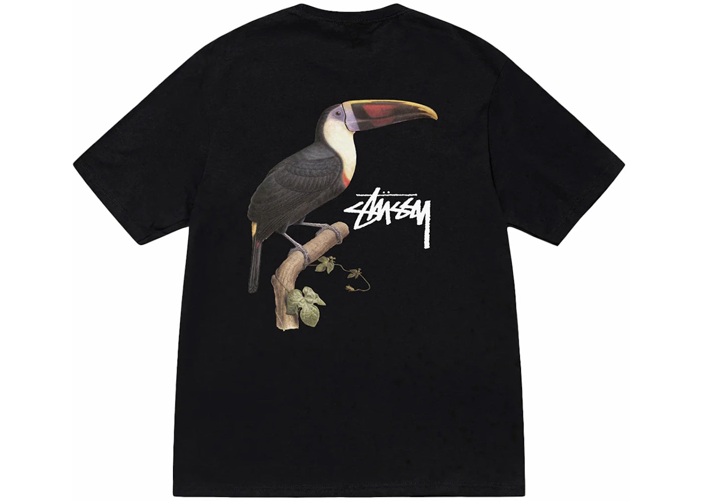 Back view of stussy tee