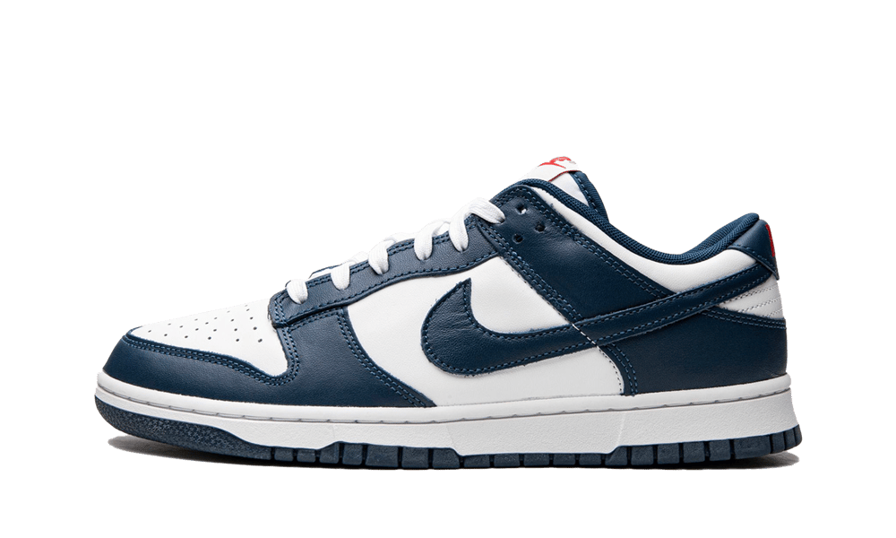 Nike Dunk Low Valerian Blue 