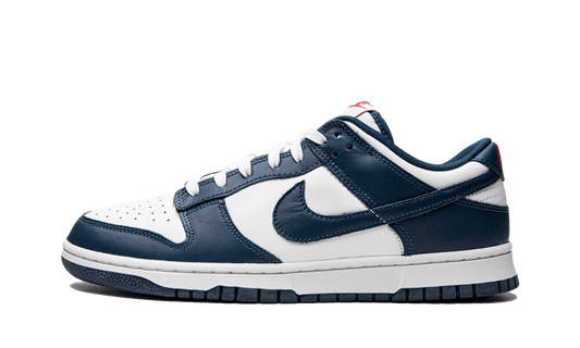 Nike Dunk Low Valerian Blue 