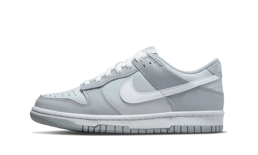 Nike Dunk Low Two Tone Grey Gs