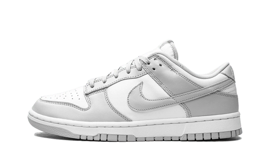 Nike Dunk Low Retro Grey Fog